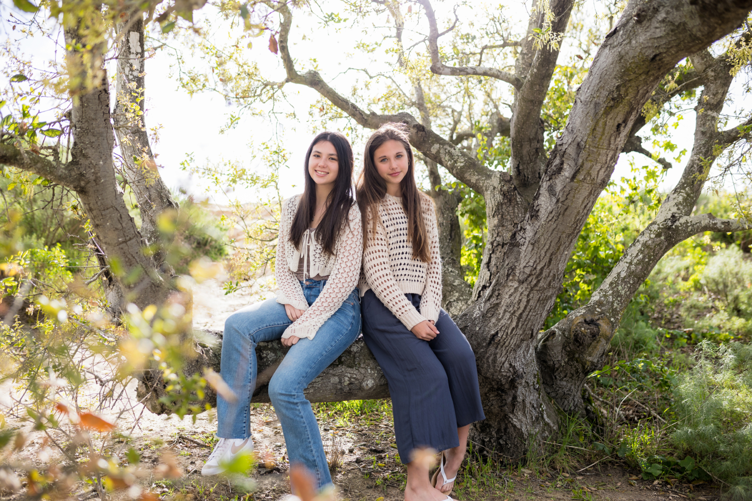 Two high school senior girls sit on a large tree branch at Alta Laguna Park, surrounded by soft sunlight and lush greenery. They wear cozy, neutral-toned knit sweaters—one paired with jeans and sneakers, the other with flowy pants and sandals—creating a relaxed and natural vibe. Their warm smiles and effortless poses capture a carefree and timeless senior portrait in this scenic outdoor setting.